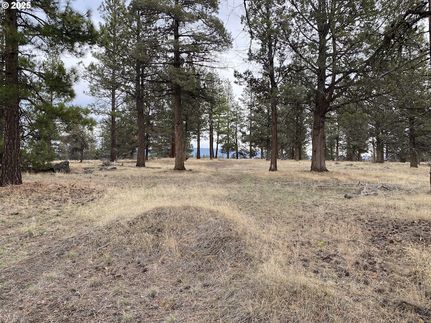 Undeveloped Land for sale in Klamath County, Oregon