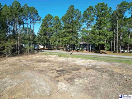 Undeveloped Land for sale in Chesterfield County, South Carolina