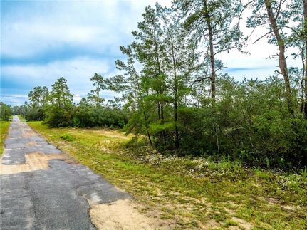 Undeveloped Land for sale in Citrus County, Florida