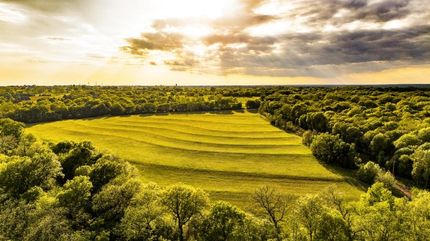 Undeveloped Land for sale in McClain County, Oklahoma