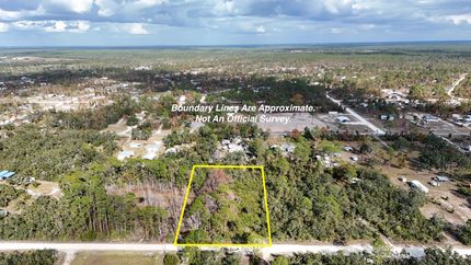 Undeveloped Land for sale in Taylor County, Florida