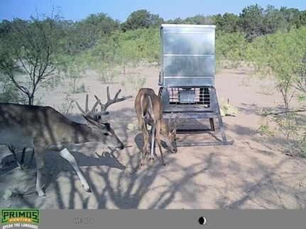 Property for sale in Crockett County, Texas