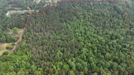 Property for sale in Winston County, Alabama
