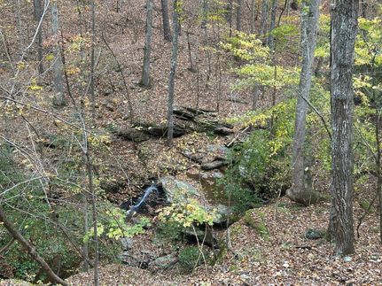 Property for sale in Polk County, Georgia