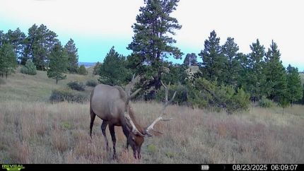 Hunting Land for sale in Yellowstone County, Montana