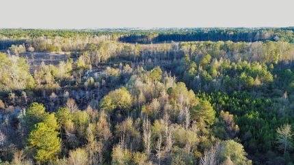 Property for sale in Clarke County, Mississippi