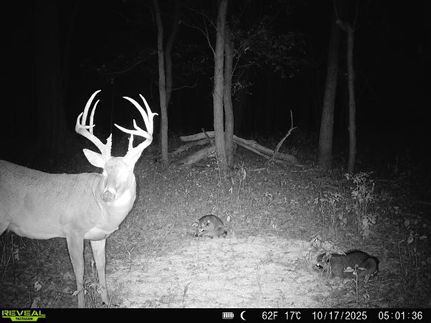 Ranch Property for sale in Lyon County, Kansas