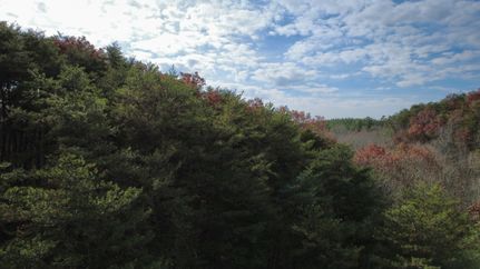 Property for sale in Gordon County, Georgia