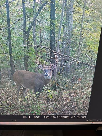 Riverfront Property for sale in Pope County, Illinois