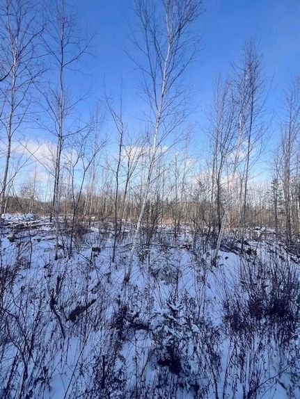 Undeveloped Land for sale in Aroostook County, Maine
