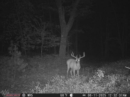 Property in Schuylkill County, Pennsylvania