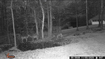 Property in Coshocton County, Ohio