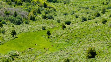 Property for sale in Rio Blanco County, Colorado