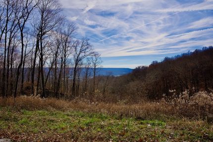 Undeveloped Land for sale in White County, Tennessee