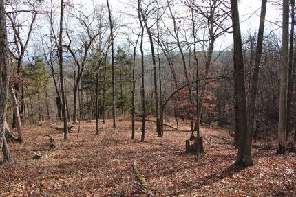 Property for sale in Shenandoah County, Virginia