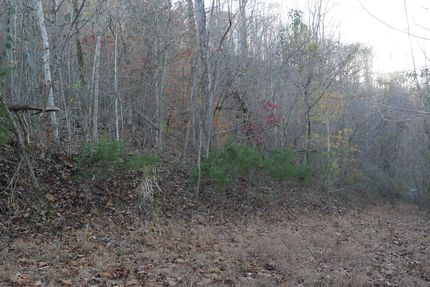 Timberland Property for sale in Scott County, Virginia