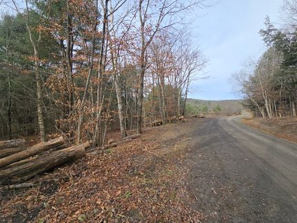 Property for sale in Otsego County, New York
