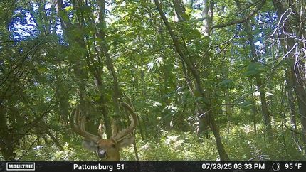 Property in Daviess County, Missouri