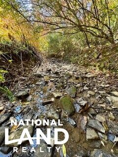 Property for sale in Clay County, Kentucky