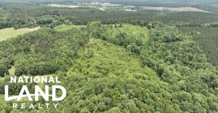 Undeveloped Land for sale in Elmore County, Alabama