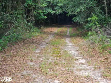 Property for sale in Henry County, Alabama