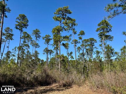 Property for sale in Baldwin County, Alabama