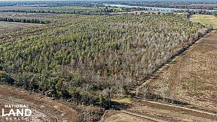 Hunting Land for sale in Concordia Parish, Louisiana