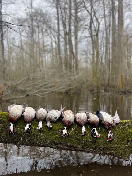 Timberland Property for sale in Duplin County, North Carolina