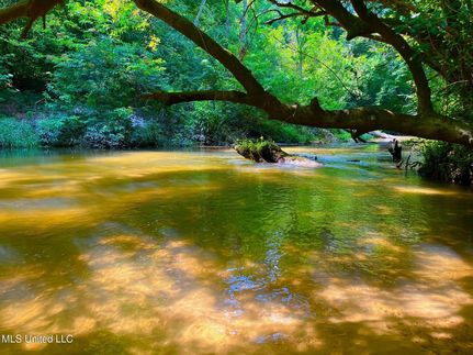 Lakefront Property for sale in Walthall County, Mississippi