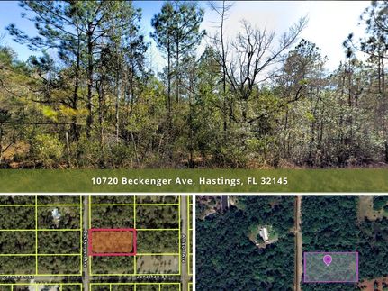 Undeveloped Land for sale in Saint Johns County, Florida