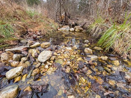 Property for sale in Ozark County, Missouri