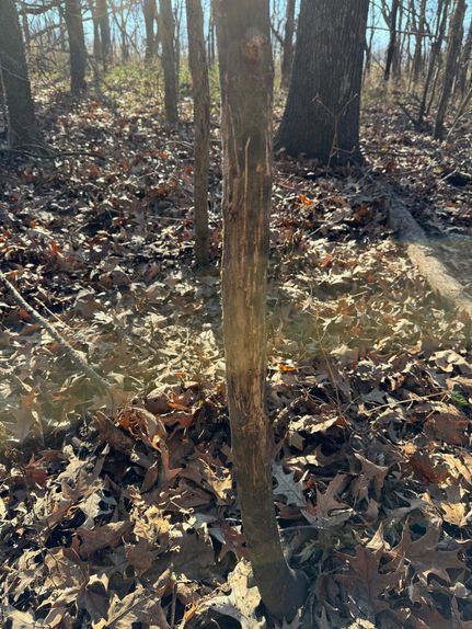 Property for sale in Pope County, Illinois