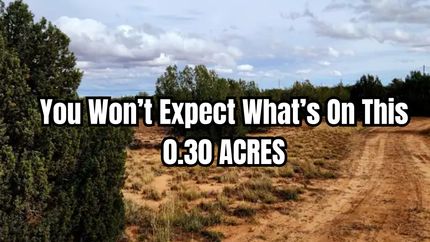 Residential Property for sale in Putnam County, Florida