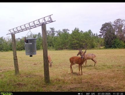 Property for sale in Madison County, Florida