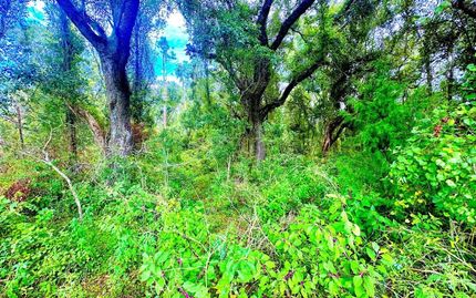 Property for sale in Lafayette County, Florida