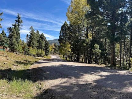 Undeveloped Land for sale in Colfax County, New Mexico