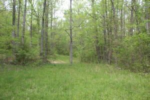 Undeveloped Land for sale in Newton County, Arkansas