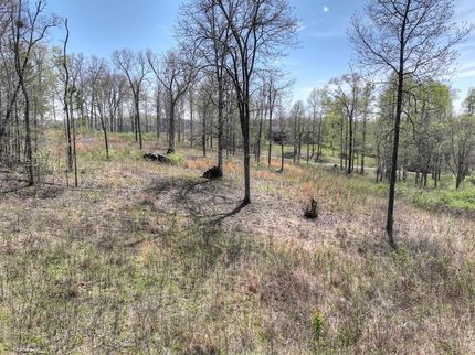 Undeveloped Land for sale in Fannin County, Georgia