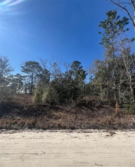Undeveloped Land for sale in Levy County, Florida