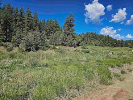 Undeveloped Land for sale in Archuleta County, Colorado