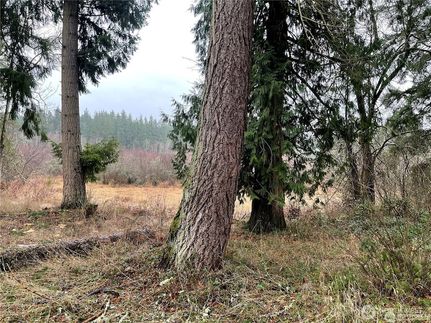 Undeveloped Land for sale in Thurston County, Washington