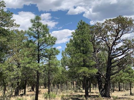 Residential Property for sale in Coconino County, Arizona