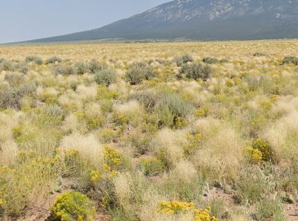 Property for sale in Costilla County, Colorado