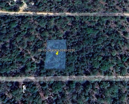 Undeveloped Land for sale in Putnam County, Florida