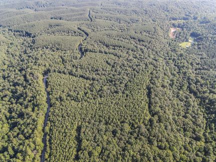 Property for sale in Lewis County, Tennessee