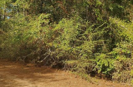 Residential Property for sale in Waller County, Texas