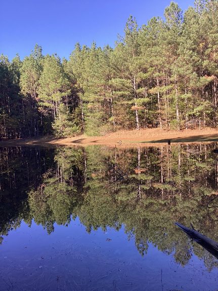 Timberland Property for sale in Kemper County, Mississippi