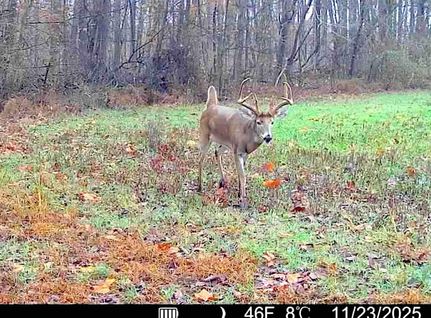 Property for sale in Union County, Illinois