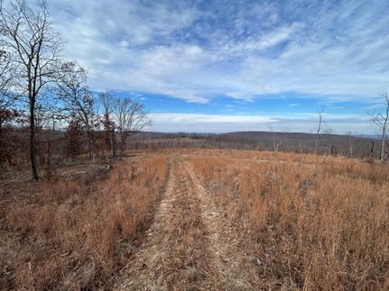 Undeveloped Land for sale in Texas County, Missouri