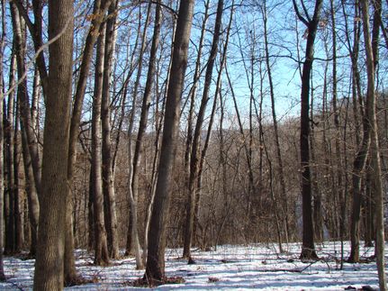 Property for sale in Crawford County, Wisconsin